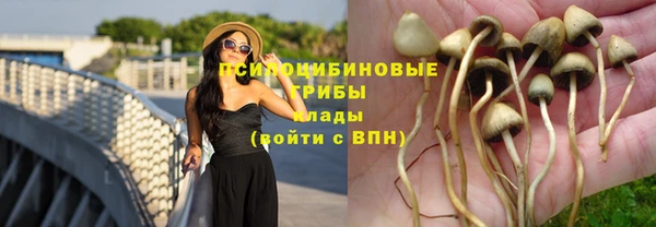 кокаин Алексеевка