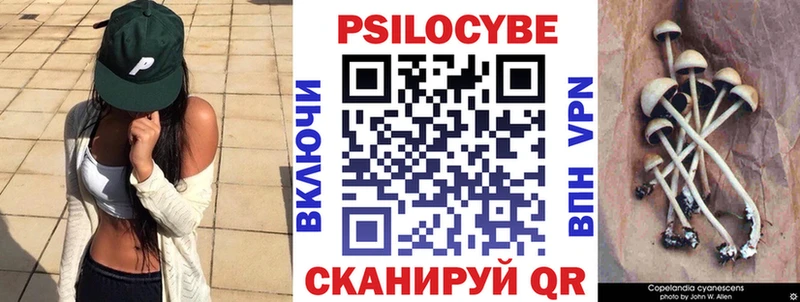 Галлюциногенные грибы MAGIC MUSHROOMS Змеиногорск